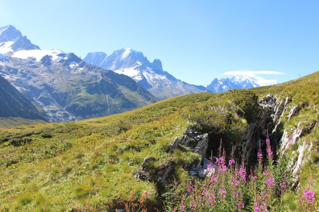 Viachamonix I Confort & Nature, Skis Aux Pieds Vallorcine Eksteriør bilde