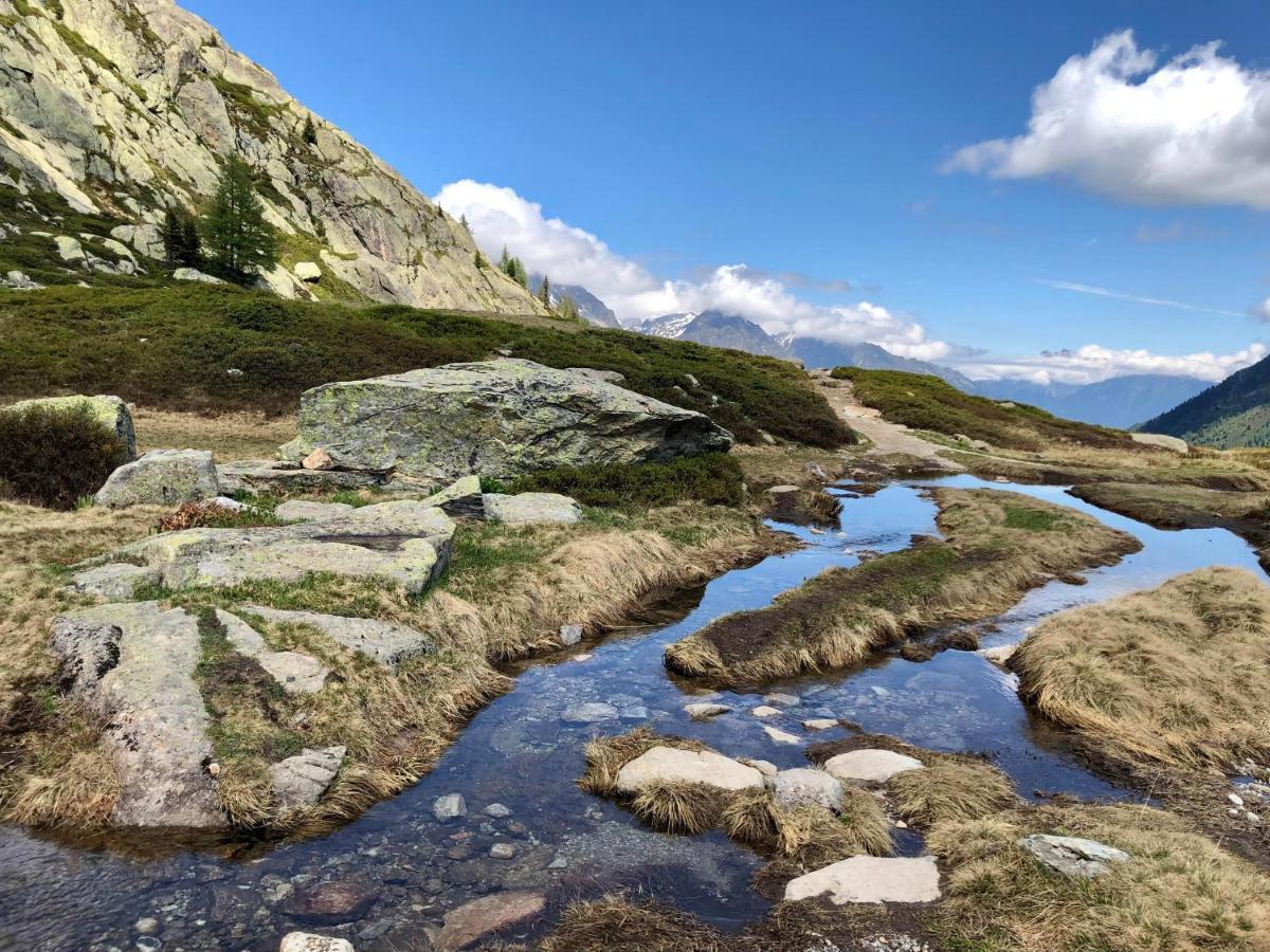 Viachamonix I Confort & Nature, Skis Aux Pieds Vallorcine Eksteriør bilde